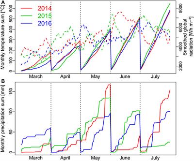 Nitrogen Use Efficiency and Carbon Traits of High-Yielding European Hybrid vs. Line Winter Wheat Cultivars: Potentials and Limitations